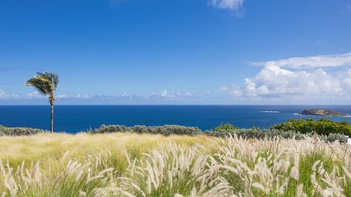 Villa Seaweed Surroundings