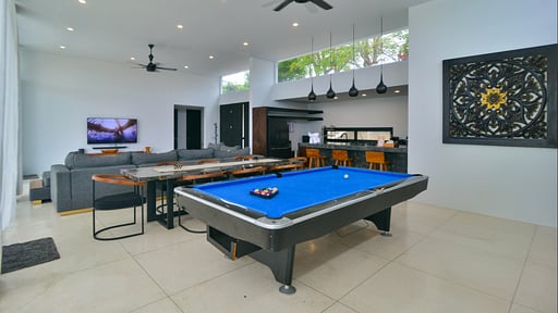 Villa Seger Billiard