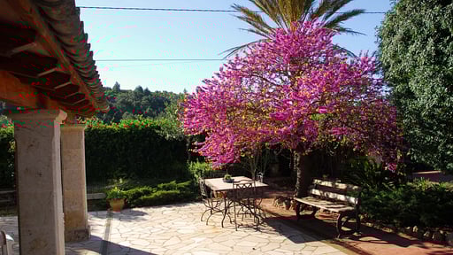 Villa Seguinot Others