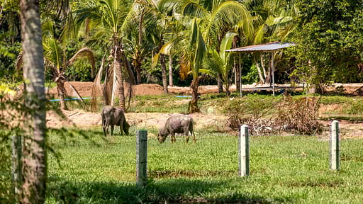 Villa Sereniwood 1 Others