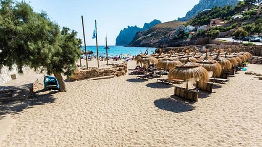 Villa Ses Palmeres Окрестности