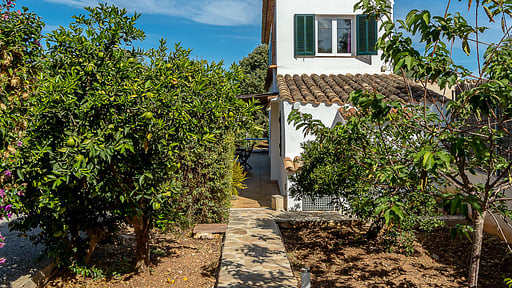 Villa Ses Palmeres Сад