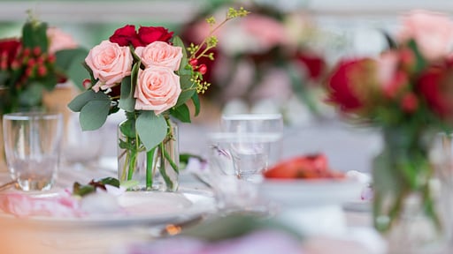 Villa Shanti at Jivana Others