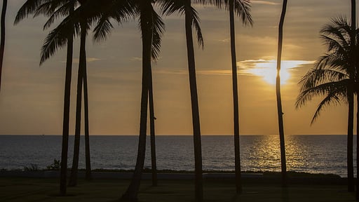 Villa Shanti at Jivana Others