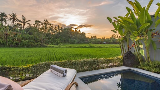 Villa Shiva Swimming pool