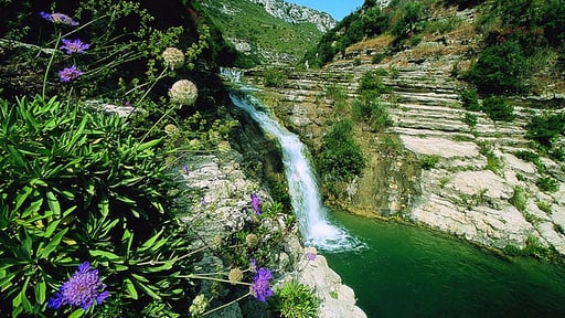 Villa Sicilian Surroundings