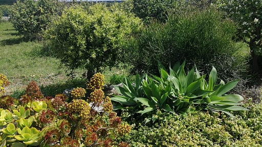 Villa Sicilian Garden