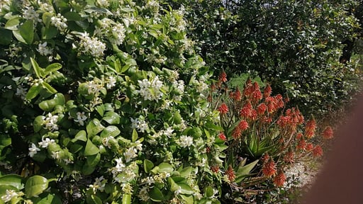 Villa Sicilian Garden