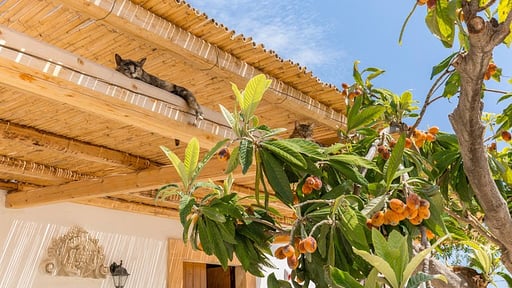 Villa Sicilian Garden