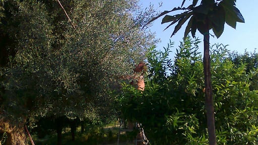 Villa Sicilian Garden