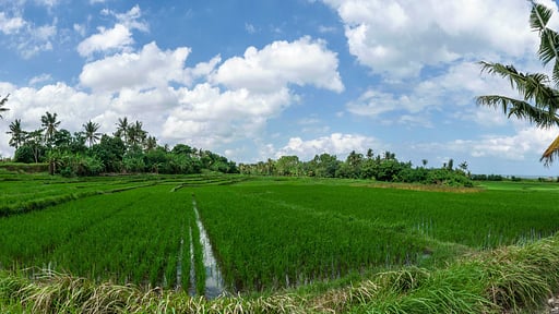 Silversand Villa Surroundings