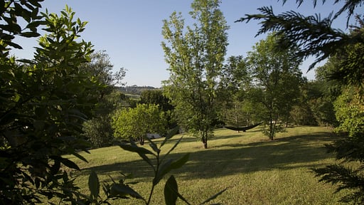 Villa Sinfonia Others