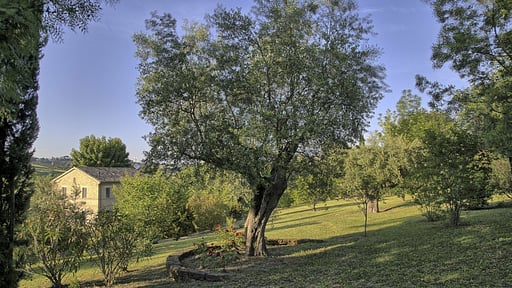 Villa Sinfonia Others