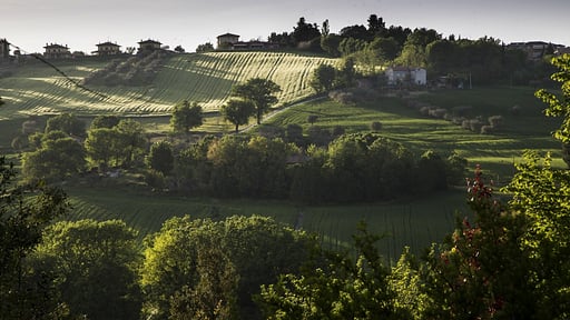 Villa Sinfonia Others