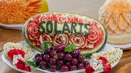 Villa Solaris Others