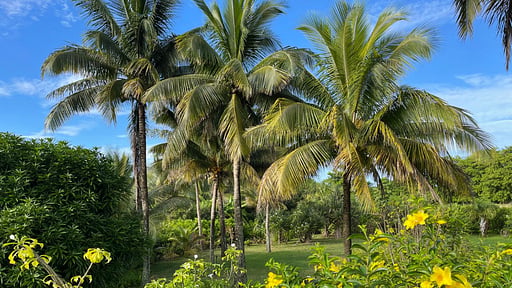 Villa Solaya Garten
