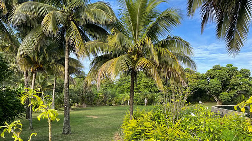 Villa Solaya Garten