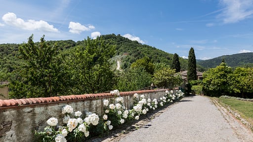 Villa Soldani Wedding pictures