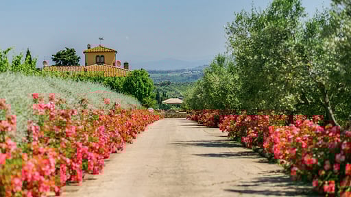 Villa Sole del Chianti Others