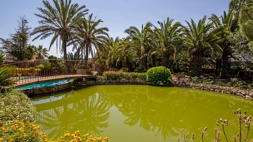 Villa Soliventia Terrace/Veranda