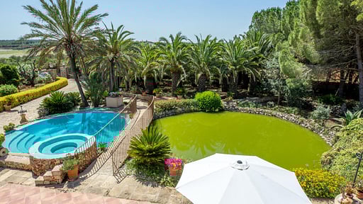 Villa Soliventia Swimming pool