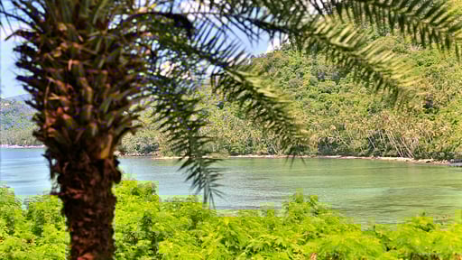 Villa Solymar Surroundings