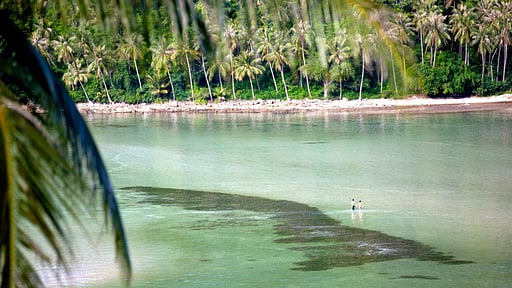 Villa Solymar Surroundings