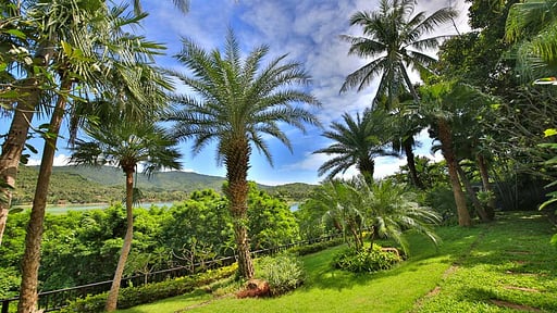 Villa Solymar Surroundings