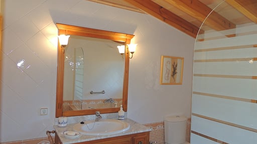 Villa Son Amer Others