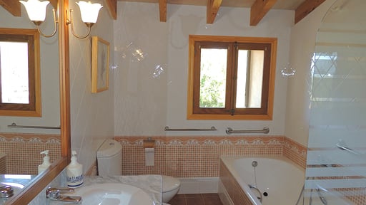 Villa Son Amer Others