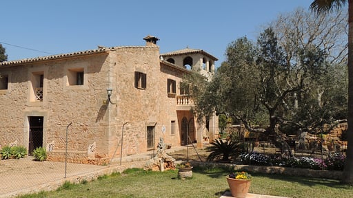 Villa Son Amer Others