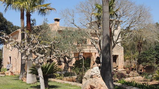 Villa Son Amer Others