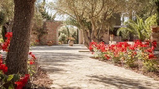 Villa Son Doblons Jardín