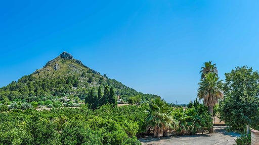 Villa Son Fe Vilaire Others