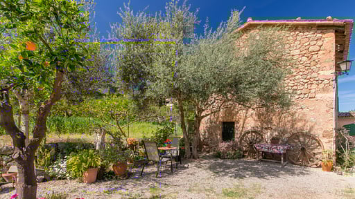 Villa Son Frontera Garden