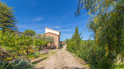 Villa Son Frontera Garden