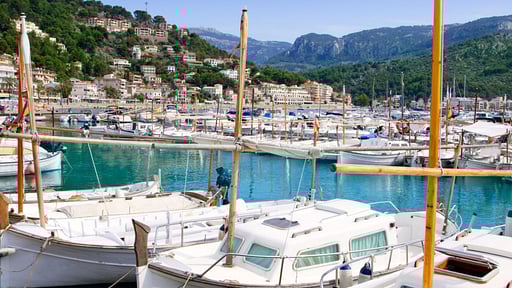 Villa Son Frontera Surroundings