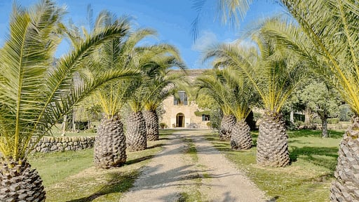 Villa Son Guinyol Others