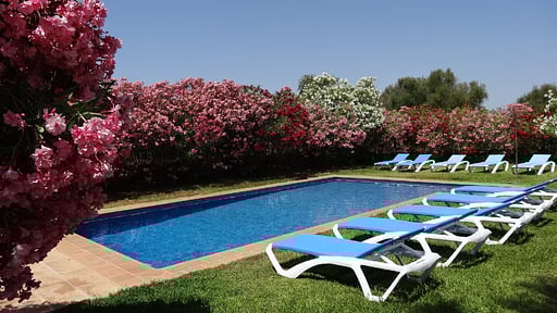 Villa Son Mas Swimming pool