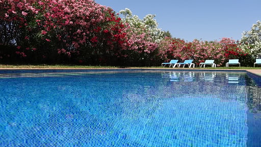 Villa Son Mas Swimming pool