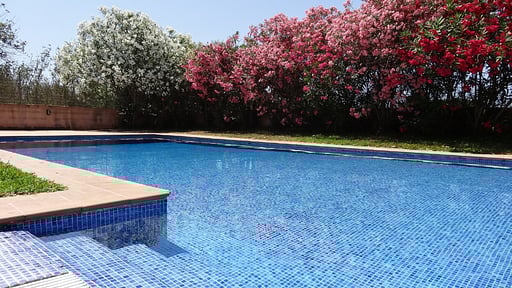 Villa Son Mas Swimming pool