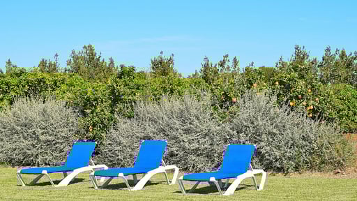 Villa Son Morey Tarongers Swimming pool