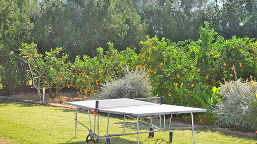 Villa Son Morey Tarongers Table tennis