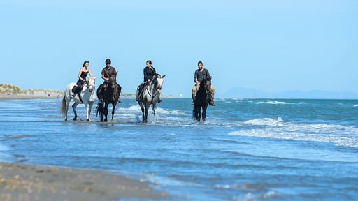 Villa Son Morrenza Surroundings