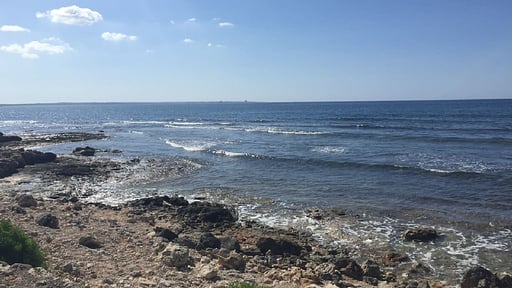 Villa Son Reynes Surroundings