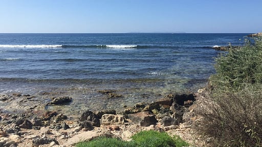 Villa Son Reynes Surroundings