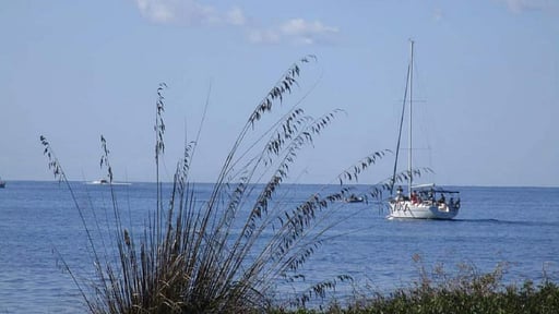 Villa Son Reynes Surroundings