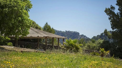 Villa Son Veri Surroundings