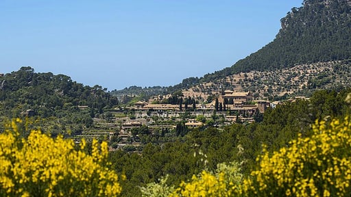 Villa Son Veri Surroundings