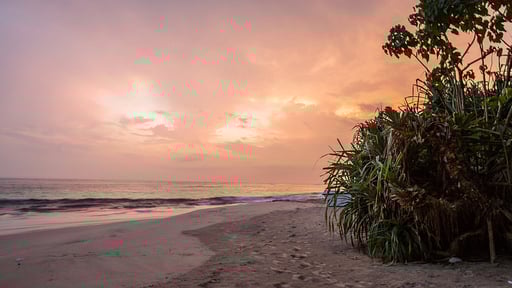 Villa South Point Ocean Beach